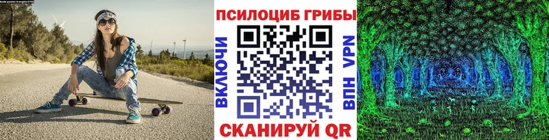 хочу наркоту  Ершов  Псилоцибиновые грибы MAGIC MUSHROOMS 