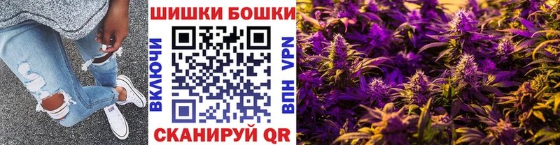 закладки Ершов это Telegram Марихуана план